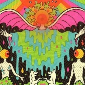 Meet your Posher, Lizette